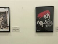 Magma mostra degli illustratori