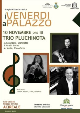 concerto trio Pluchinota locandina