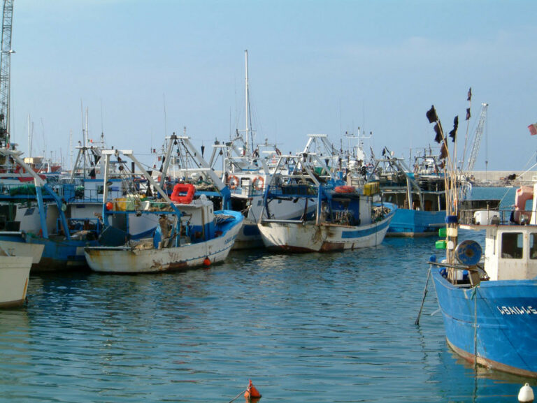 pescherecci sensori mare