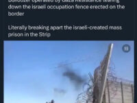 boicottaggio-starbucks-israele-palestina