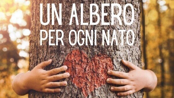 Acireale / Via alla petizione “un albero per ogni nuovo nato”