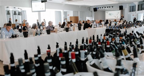 Assovini Sicilia, wine tour