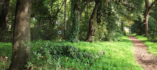 Interno del Parco di Casalotto