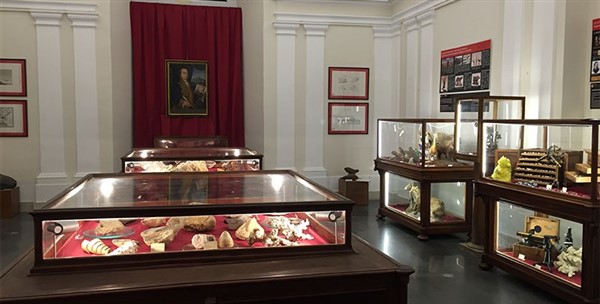 museo dei saperi Catania