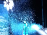 Elsa e il castello di ghiaccio