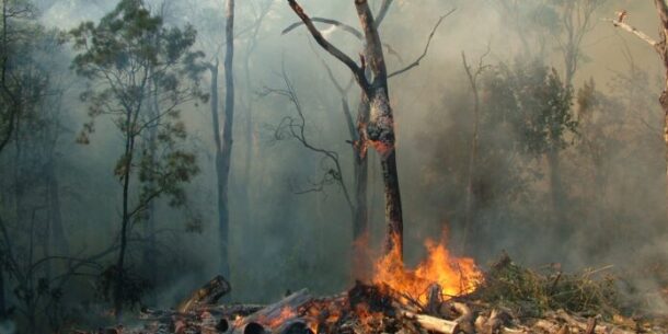 incendi bosco tecnologia
