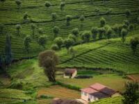 Discovering Rural Sicily
