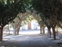 parco delle terme Santa Venera