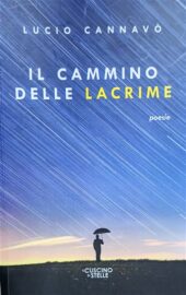 Copertina Il cammino delle lacrime