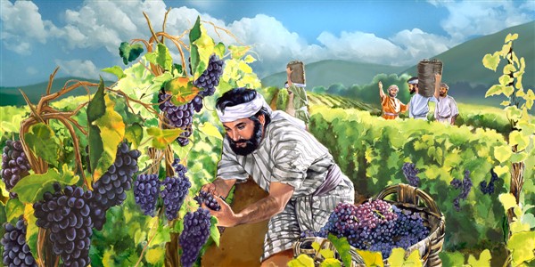 Sulla strada della Quaresima – 17 / Venerdi 21 marzo. La speranza è portare frutto