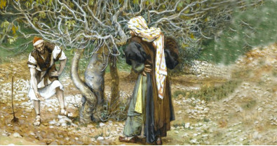 Sulla strada della Quaresima – 19 / Domenica 23 marzo. La speranza richiede pazienza