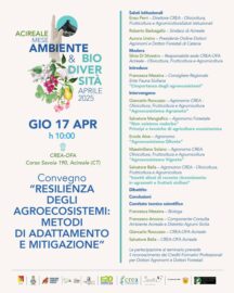 Acireale olivicoltura vigneti