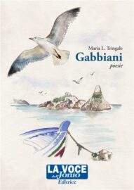 copertina Gabbiani