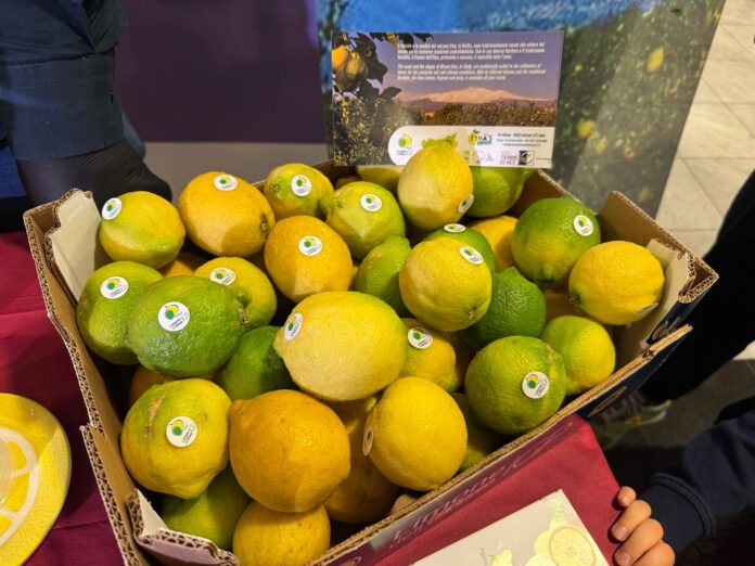 GAL Terre di Aci Progetto Lemon