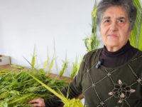 mariuccia palme intrecciate a Pozzillo