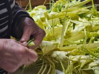 palme_intrecciate_pozzillo