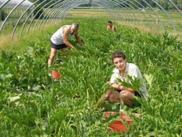 Agricoltura sociale verde