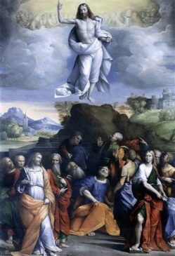 Ascensione, Garofalo