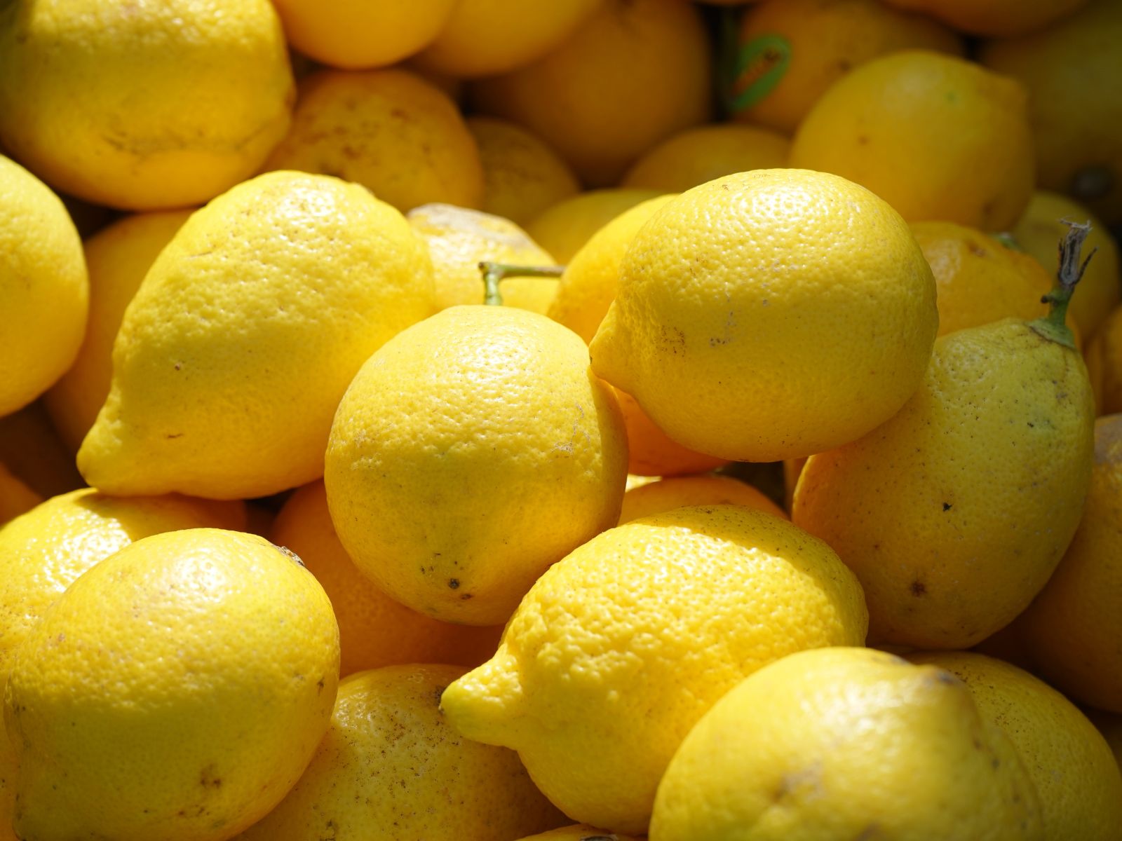 limone etna igp agrumi