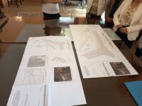 progetto per struttura ludica cani e gatti