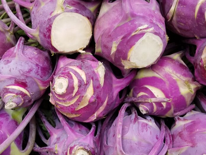 slow food cavolo trunzo