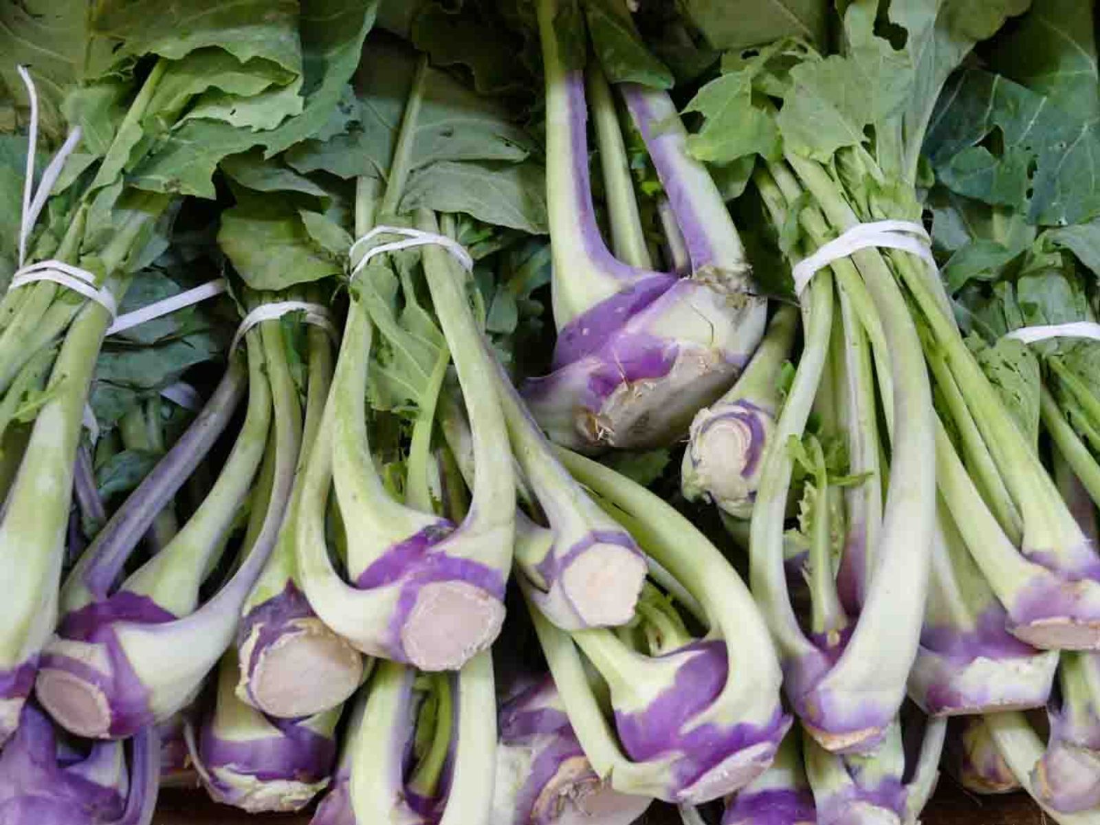 slow food cavolo trunzo aci