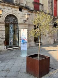 Mostra Kaos