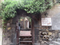 Nespolo_1r (ingresso)