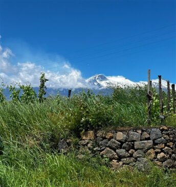 Vinobus etna, paesaggio