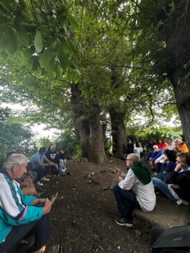 Cassone riflessione tra gli alberi