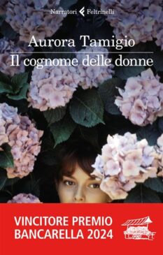 Il cognome delle donne, copertina