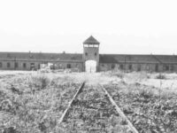Campo di Auschwitz Birkenau