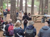 Messa nel bosco
