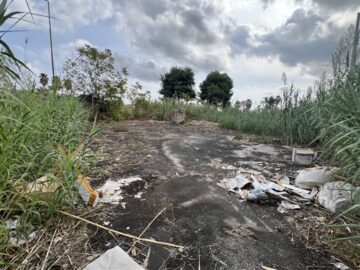 Zona artigianale Giarre necessita di cure
