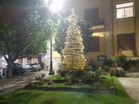 Albero-di-Natale-acceso-in-piazza-a-Santa-Venerina