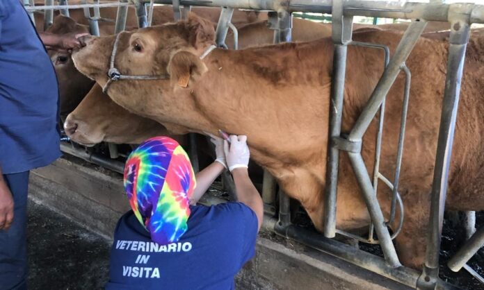 prima giornata prevenzione veterinaria