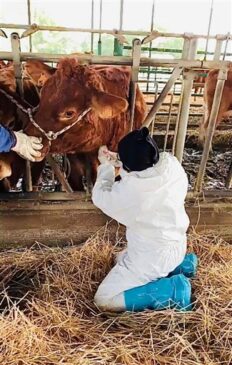 Giornata prevenzione veterinaria