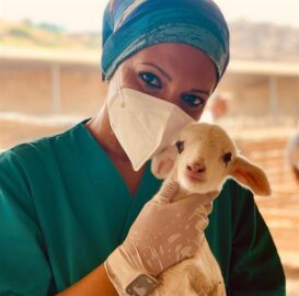 ima-giornata prevenzione veterinaria