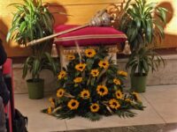Inaugurazione anno giudiziario Mazza cerimoniale