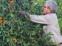 Salvatore Cristaldi nella sua proprietà di Maugeri