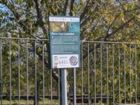Parco Oasi Cosentini