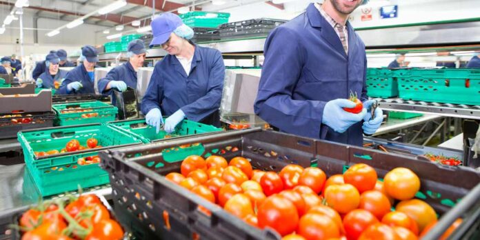 agroalimentare sicilia rete imprese agroalimentare sicilia rete imprese