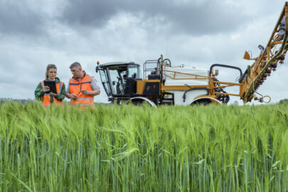 agroalimentare sicilia rete imprese