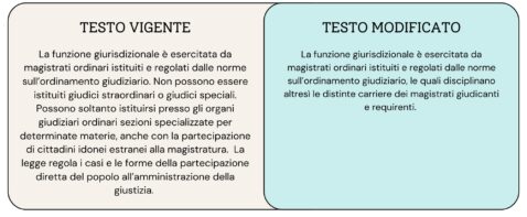 art102 referendum