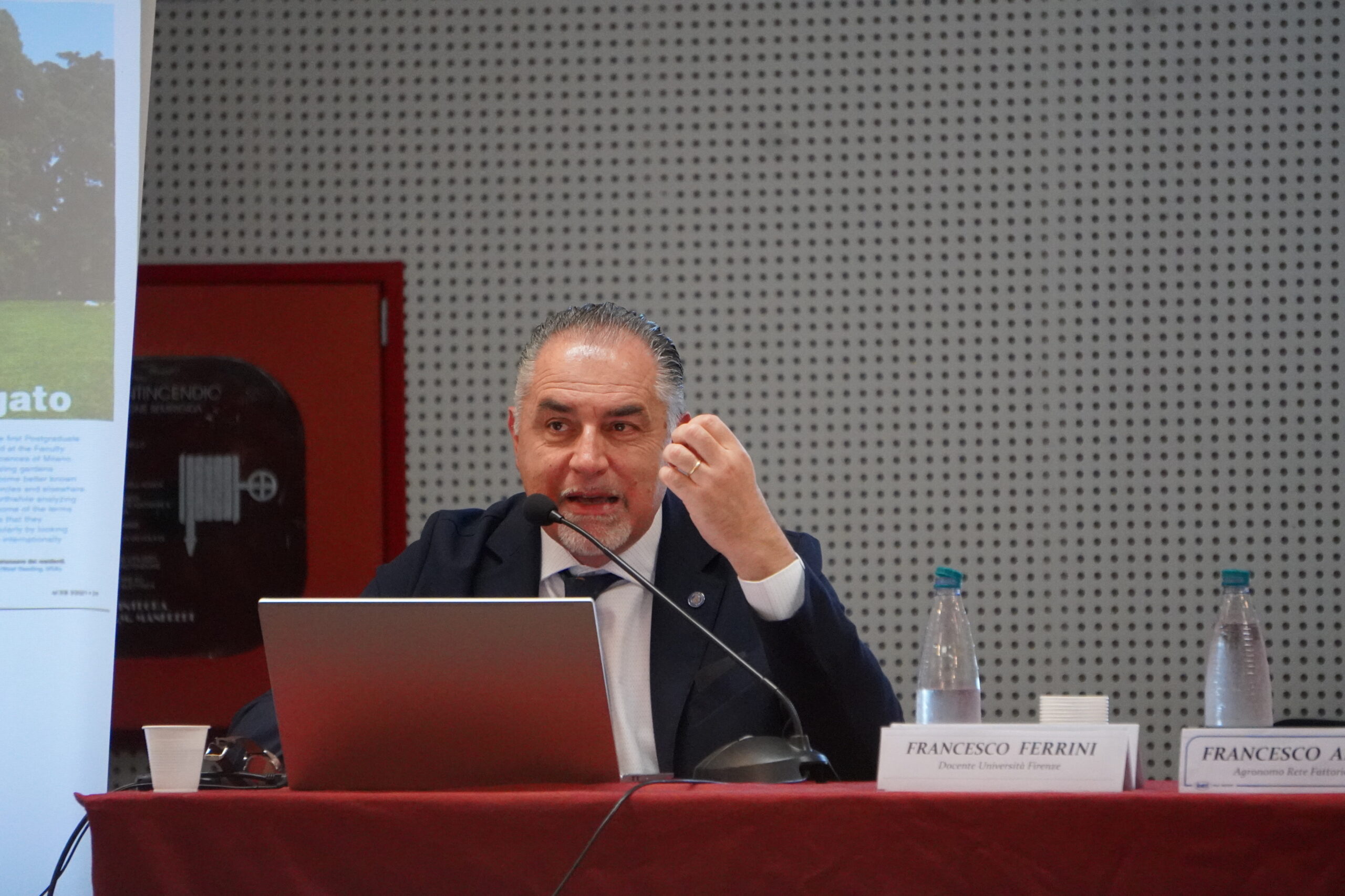 il professore Ferrini