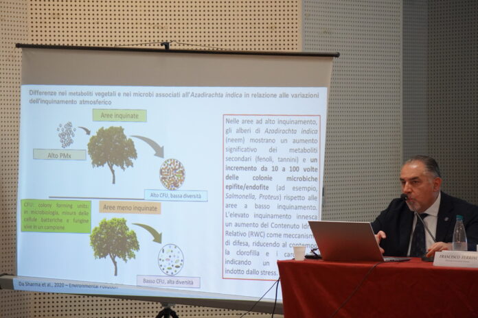 professore Ferrini ambiente urbano rigenerazione urbana Acireale