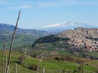 Gangi @rosalia le calze