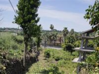 mese dell’ambiente e biodiversità timpa falconiera