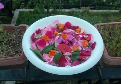 Acqua dell'Ascensione con petali di rosa