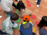 Gioco del twister